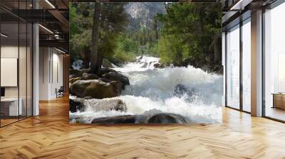 Summer in Colorado: Looking Upstream as Chalk Creek Crashes Down Cascade Falls Wall mural