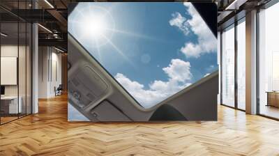 sunroof Wall mural