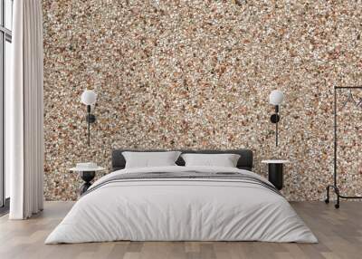 Close up image of a pebble-dashed wall Wall mural