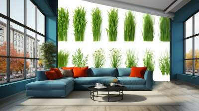 Collection of Green Grass Isolated on White Background. Generative ai Wall mural