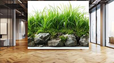 Spring Grass and Rocks Isolated on White Background. Generative ai Wall mural