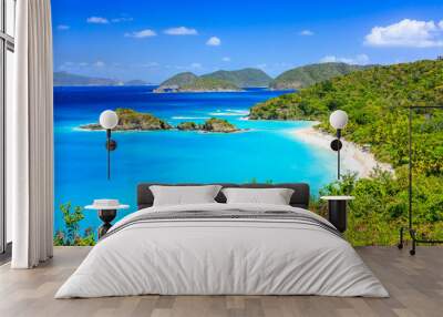 Caribbean,Trunk Bay on St John island, US Virgin Islands Wall mural