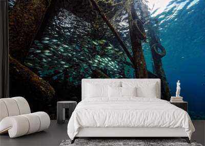 A picture of some jetty fishes Wall mural