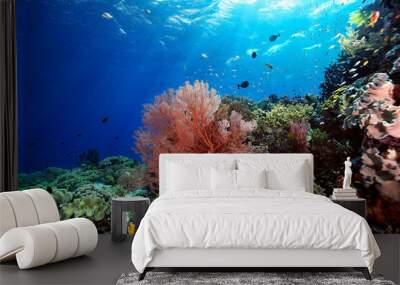 A picture of the coral reef Wall mural