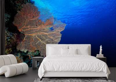 A picture of the coral reef Wall mural