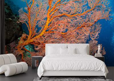 A picture of the coral reef Wall mural