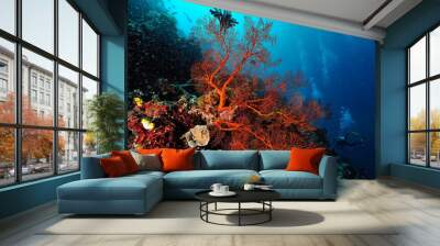 A picture of the coral reef Wall mural