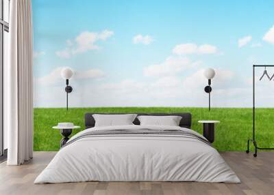 Green field and blue sky Wall mural