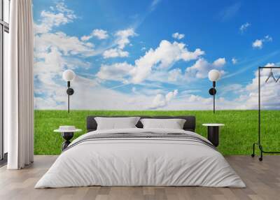 Green field and blue sky Wall mural