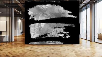 Vector silver paint smear stroke stain set. Wall mural