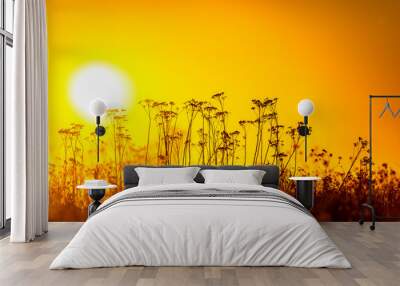 sunset in the field Wall mural