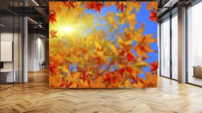 autumn leaves background sun beams space for your text Wall mural