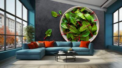 Fresh chard leaves on black background top view Wall mural