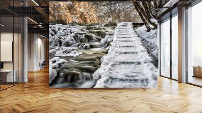 Wooden path over the frozen and with a snow covered river and water Wall mural