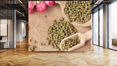 Green beans dry on wood background. Wall mural