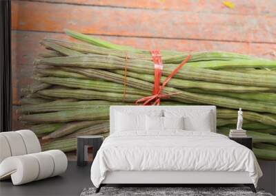 Moringa oleifera or drumstick vegetable Wall mural