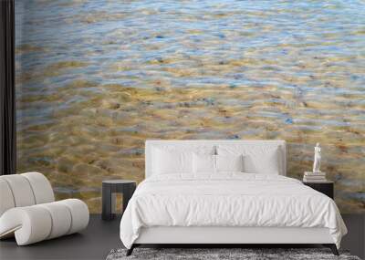 The background is clear water. Water with a yellow tint. The bottom of a body of water through the water. Wall mural