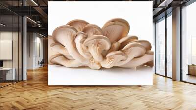 delicious oyster mushrooms isolated on white backgrouond Wall mural