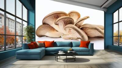 delicious oyster mushrooms isolated on white backgrouond Wall mural