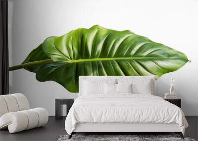 green leaves plant isolated Wall mural