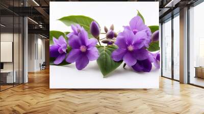 mandragora officinarum with violet flowers isolated on the white background ar 16 9 stylize 250 job id d479e3f9 995d 4d45 ab76 4e3479e70cc1 Wall mural