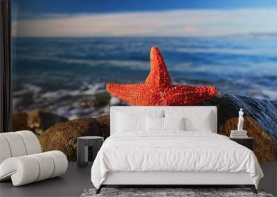 red starfish on a rock near the sea Wall mural