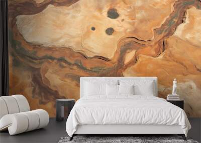 Aerial view of a remote desert landscape showing stunning colors and textures Wall mural