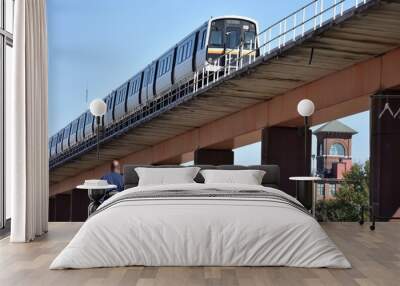 mass transit train on an elevated track in the city Wall mural