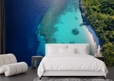 Turquoise water meeting a coral reef near a tropical island with lush vegetation Wall mural