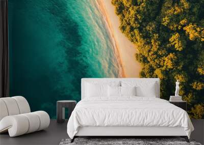 Turquoise water meeting golden sand on tropical beach aerial view Wall mural