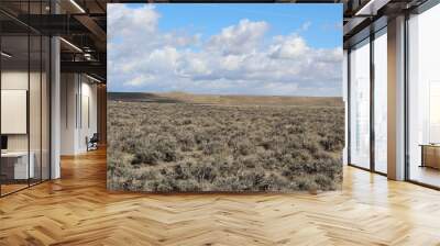 Wyoming's vast grazing land and sagebrush goes as far as the eye can see. There's some Prong horn eating off in the distance. Wall mural