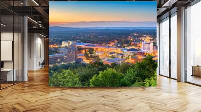 Hot Springs, Arkansas, USA Town Skyline Wall mural