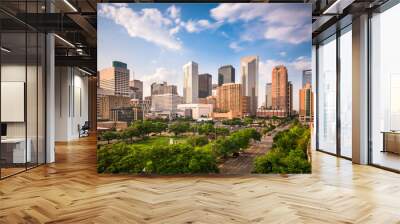 houston texas skyline Wall mural