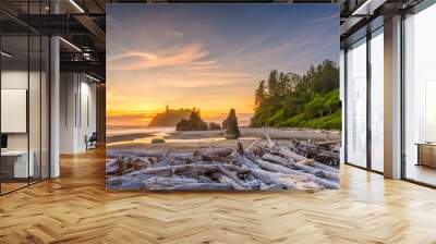 Olympic National Park, Washington, USA Wall mural