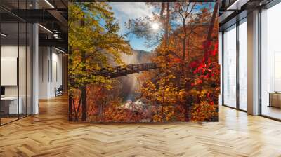 Tallulah Falls, Georgia, USA overlooking Tallulah Gorge Wall mural