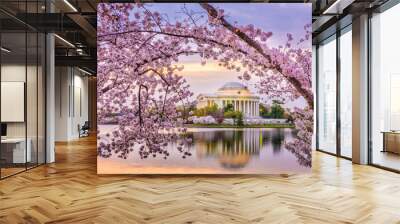 Washington DC, USA at the Jefferson Memorial Wall mural