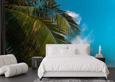 Lush green palm trees with blue sky in the background on a tropical exotic island on a sunny bright day. Wall mural