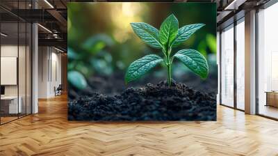 A young plant sprouting from the soil, representing early stages of growth and environmental nurturing. Concept of gardening and plant development. Wall mural