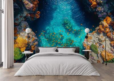 An aerial image of a vibrant coral reef system with clear blue water highlighting the intricate patterns of marine life. Concept of underwater ecosystems and coral diversity. Wall mural