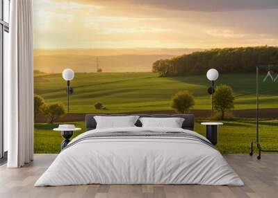 Beautiful rural landscape with trees and fields in golden sunlight at sunset, Eifel, Germany Wall mural