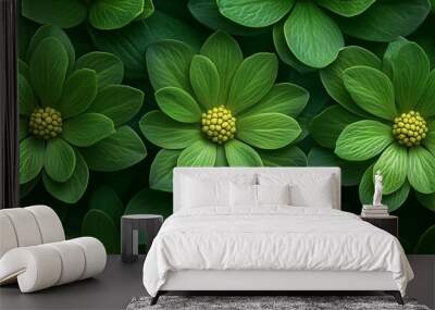 Close-up of green flowers with layered petals against a lush green background. Wall mural