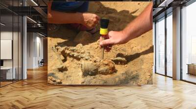 archaeologists at work Wall mural