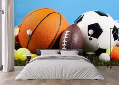  Assorted sports equipment and grass Wall mural