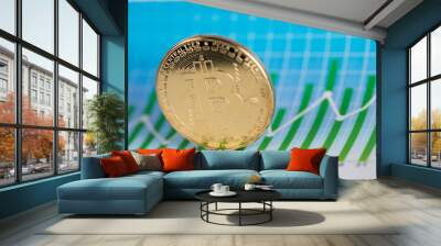 Bitcoin Trading Concept, virtual money Wall mural