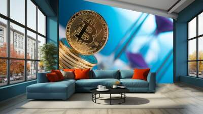 Cryptocurrency, Business, bitcoin coin and Trading concept Wall mural