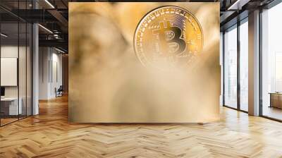 Gold Bitcoin Coin. Buisness and financial background Wall mural