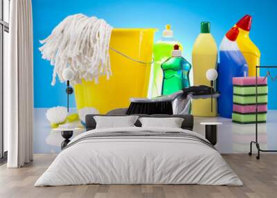 Group of assorted cleaning  Wall mural