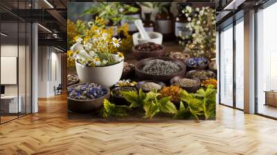 Herbal medicine on wooden desk background Wall mural