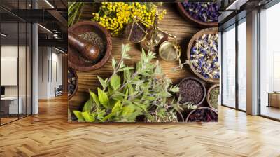 Natural medicine, herbs, mortar Wall mural