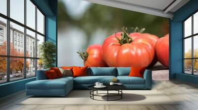 Organic food, Free red vegetables of tomato Wall mural